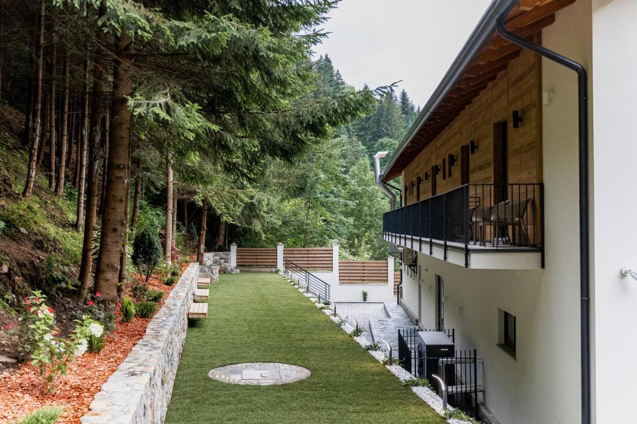 Hotel Ina Borşa Exteriér fotografie