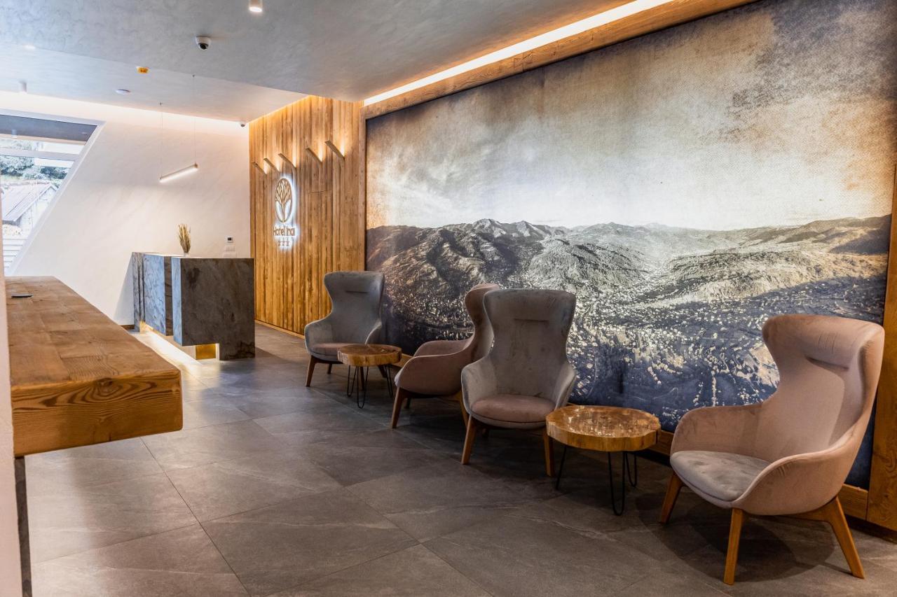Hotel Ina Borşa Exteriér fotografie